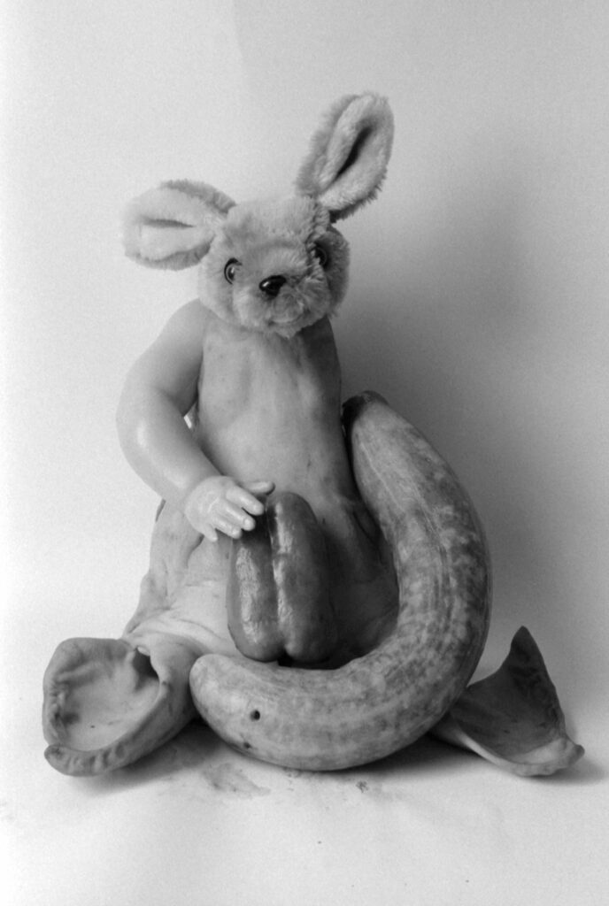 Vanité au cochon